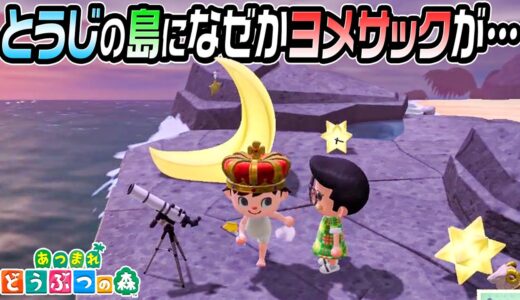 【あつ森】とうじの島でわかるカジサック家の