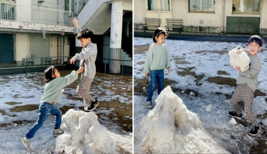 【ケンカ→仲直り】コジとせんちゃんが揉めては仲直りを繰り返します